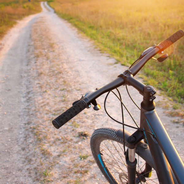 To Be Blessed With A Bike
