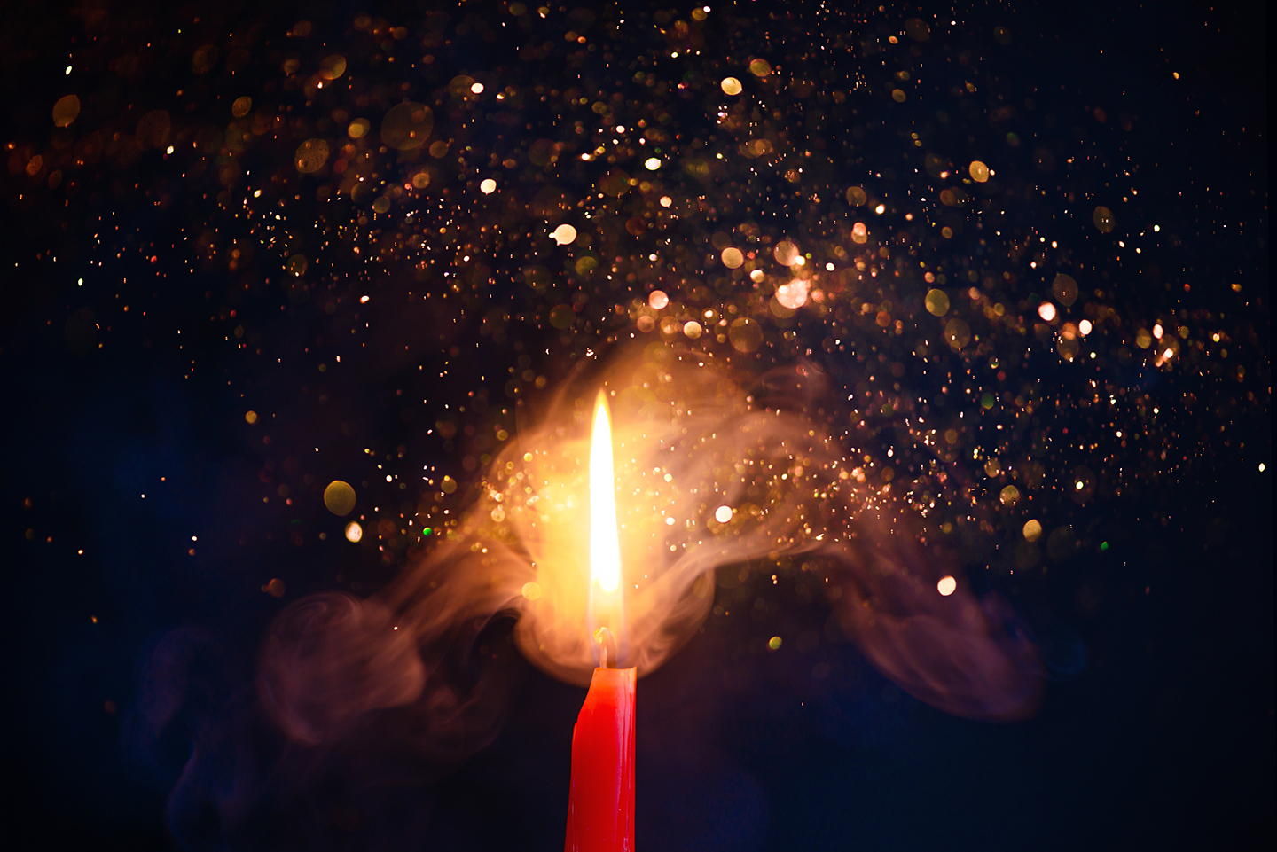 Wild Fire