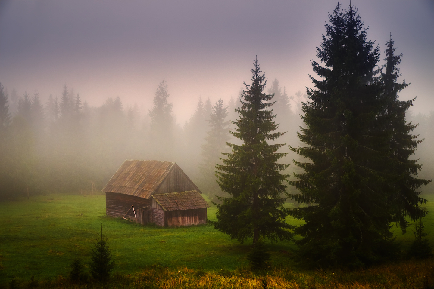 Cabinville #3